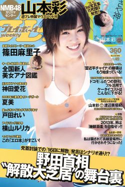 重紫电视剧免费观看